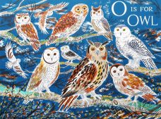 O IS FOR OWL.