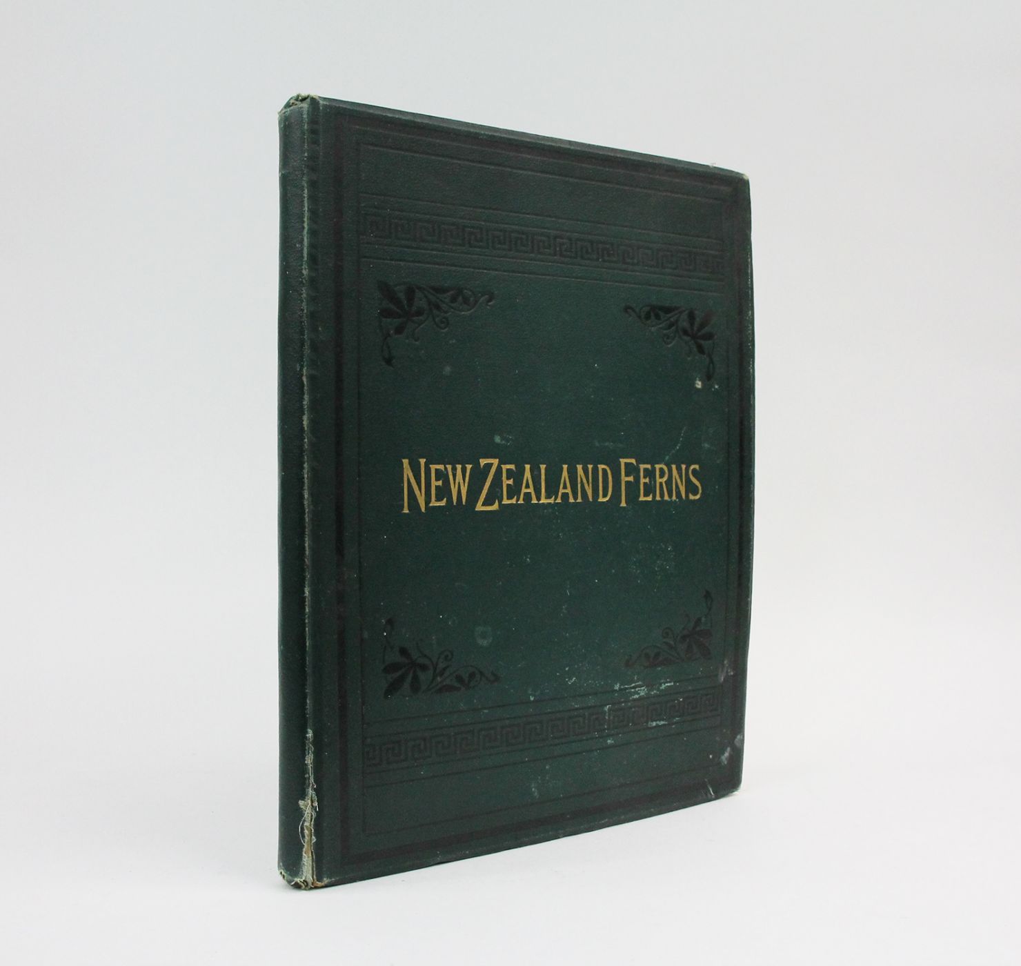 NEW ZEALAND FERNS -  image 1